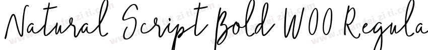 Natural Script Bold W00 Regular字体转换